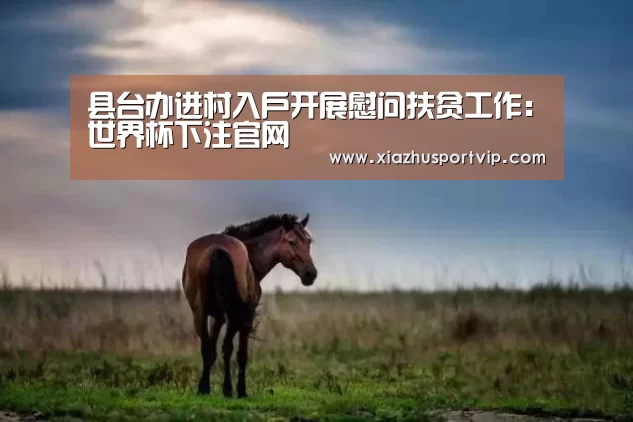 县台办进村入户开展慰问扶贫工作:世界杯下注官网(图1) 世界杯下注平台