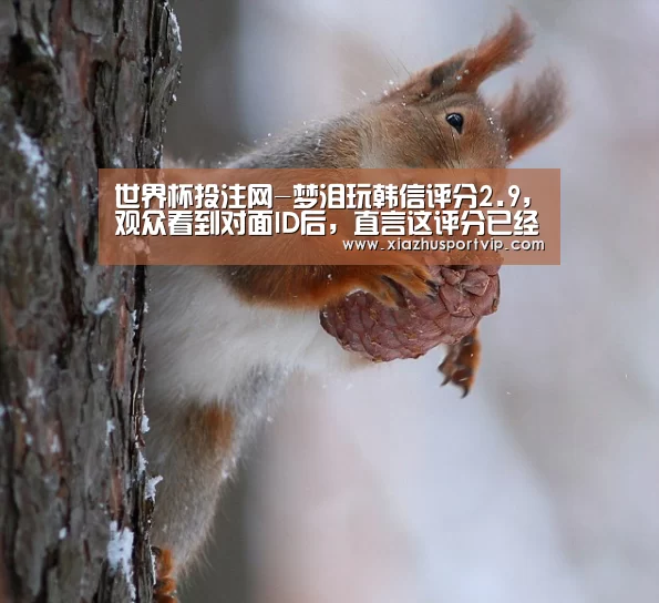 世界杯投注网-梦泪玩韩信评分2.9,观众看到对面ID后,直言这评分已经很不错了!(图1) 世界杯投注网